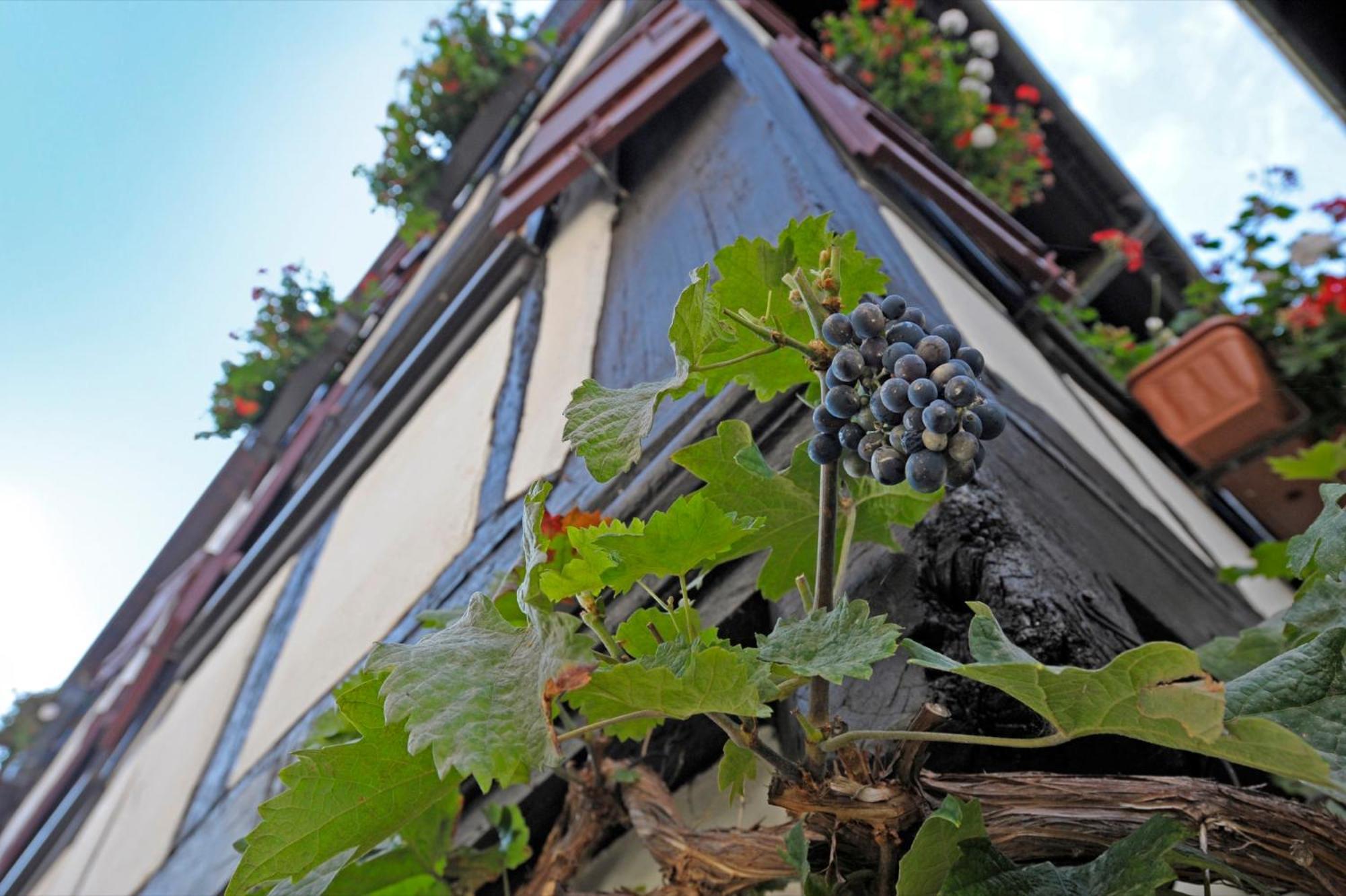 Strumpfweberhaus Schiltach Buitenkant foto